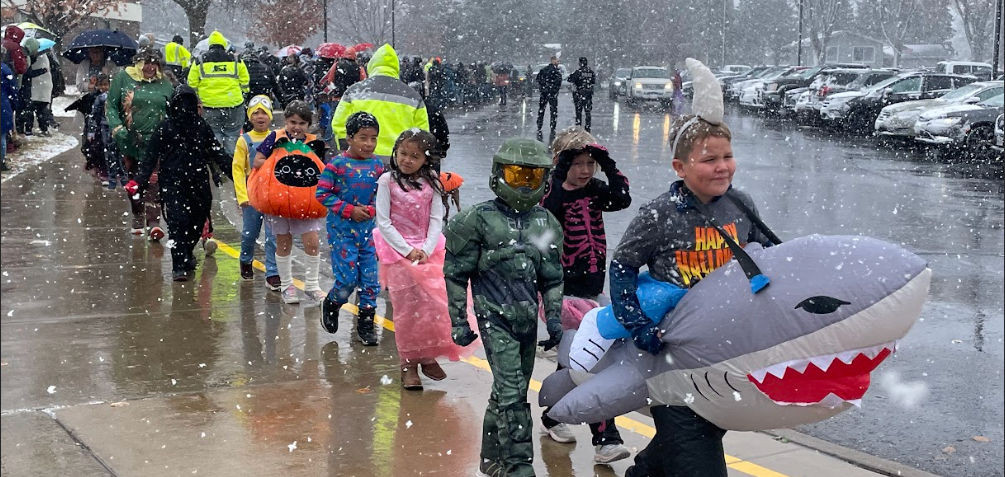 Halloween parade with boy in shark costume